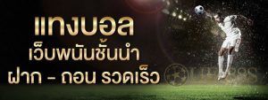 สูตร บอล ส เต็ ป 4