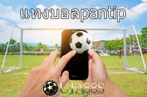 แทงบอลpantip
