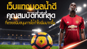 เว็บพนันบอล น้ำดีที่สุด