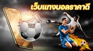 เว็บบอล ราคาดีที่สุด