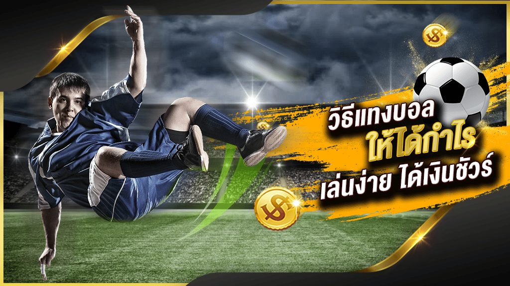 เว็บแทงบอลไม่ต้องฝาก