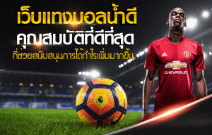 เว็บแทงบอลออนไลน์FAFA