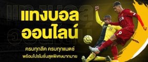 แทงบอลufabet369