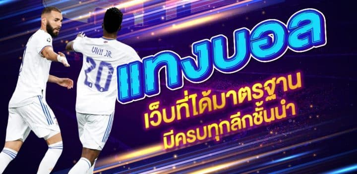 แทงบอลBING 